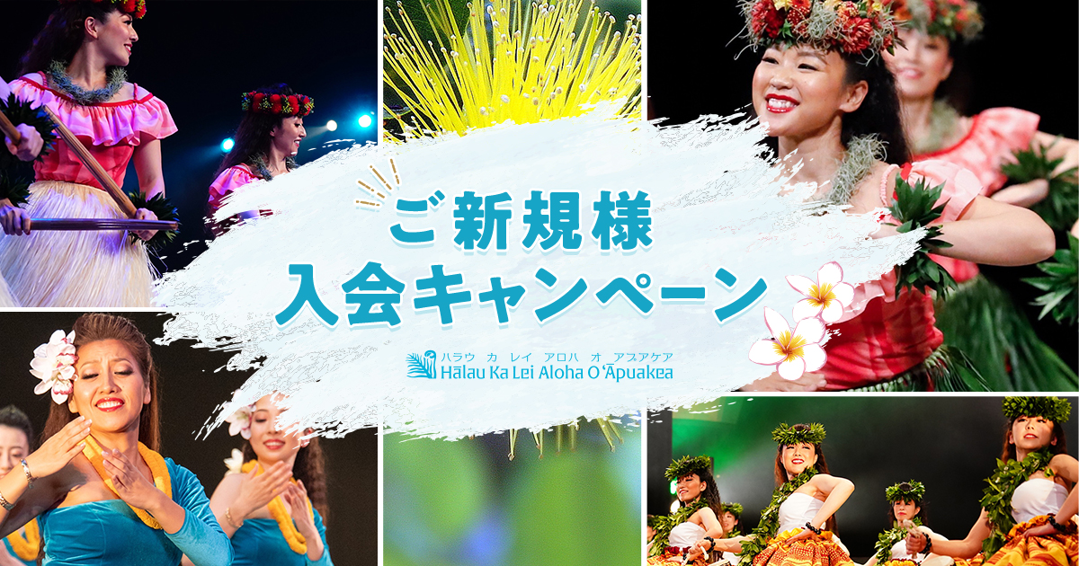 SUI Hawaii BluRay特典セット SUI Hawaii BluRay特典セット
